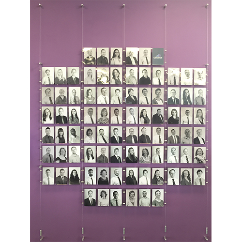 Wall mount gallery displays - A6P holders on suspended wires